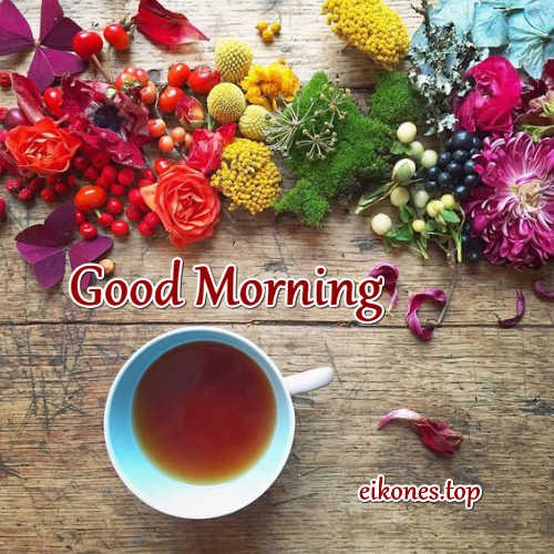Good Morning pictures-eikones.top