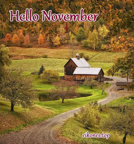  Hello November-eikones.top