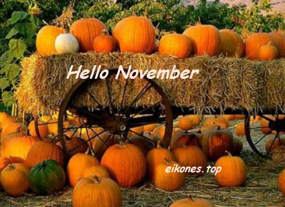 Hello November-eikones.top