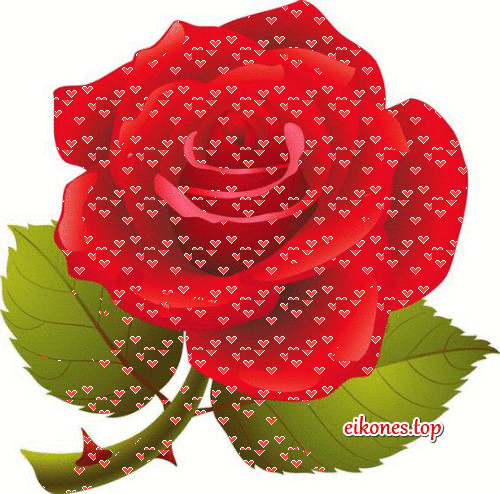 GIFs:Κόκκινα τριαντάφυλλα