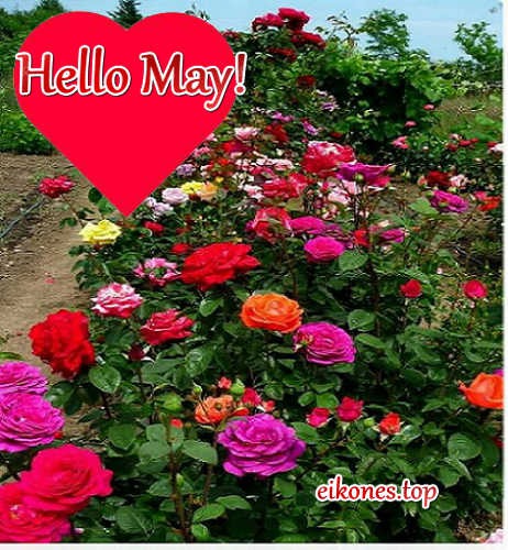 Εικόνες για hello may-Welcome May