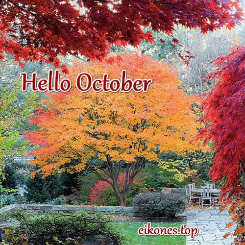 Εικόνες Τοπ για Hello October.!