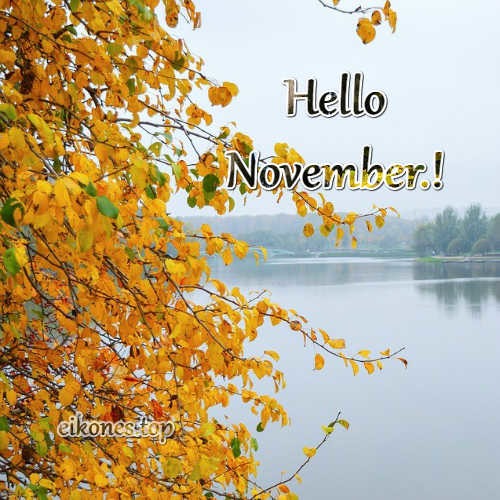 Hello November-eikones.top