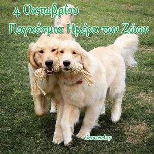 Read more about the article Παγκόσμια Ημέρα των Ζώων – 4 Οκτωβρίου