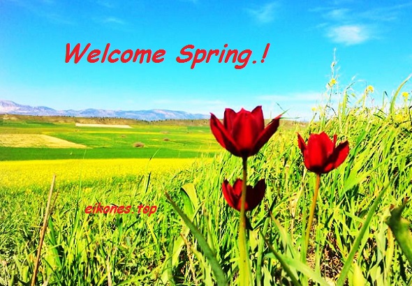 Read more about the article Welcome Spring.!