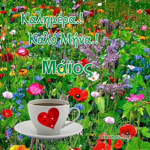 Καλώς ήρθες Μάη μας.!!! Καλημέρα σας...καλό μήνα και Καλή Πρωτομαγιά με τις πιο όμορφες eikones.top.