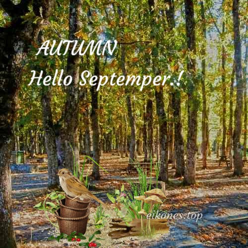 Εικόνες για Welcome Αutumn,Hello Autumn & September.! eikones.top