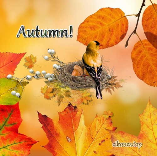 Pictures for September and autumn-eikones.top