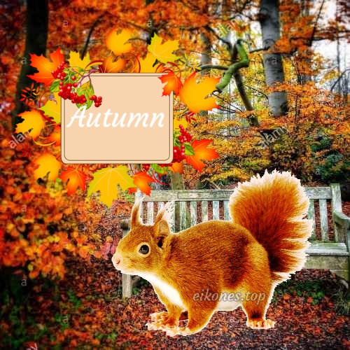 Εικόνες για Welcome Αutumn,Hello Autumn & September.!