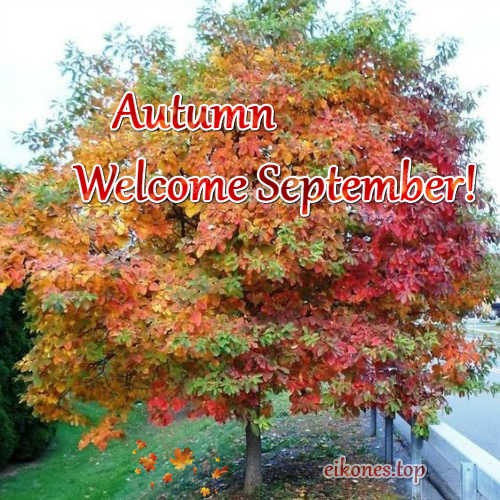 Pictures for September and autumn-eikones.top