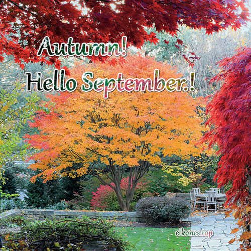 Pictures for September and autumn-eikones.top