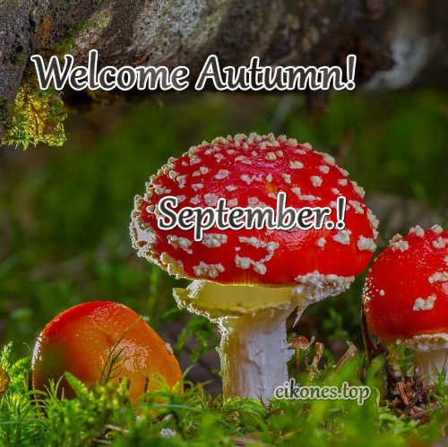 Pictures for September and autumn-eikones.top