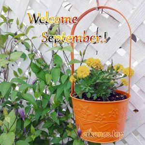 Read more about the article Εικόνες για:Welcome September, Hello September.!