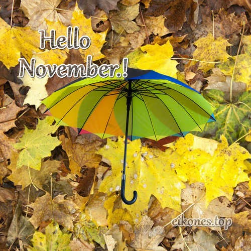pictures for Hello Novemper-Good Morning November-Good Evening November-Good Night November.