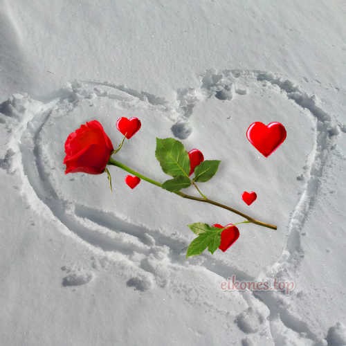 Εικόνες Τοπ με ροζ και κόκκινα τριαντάφυλλα στο χιόνι σε σχήμα καρδιάς.