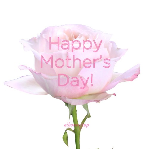 Happy Mother's Day Images-eikones.top