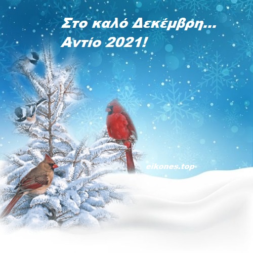 Read more about the article Στο καλό Δεκέμβρη… Αντίο 2021