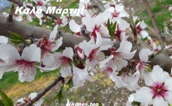 Καλώς ήρθες Μάρτη! Καλώς μας ήρθες άνοιξη!!!!