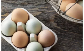 Πάσχα: Ποια η διαφορά μεταξύ άσπρων και καφέ αυγών – Ποια να βάψεις το Πάσχα