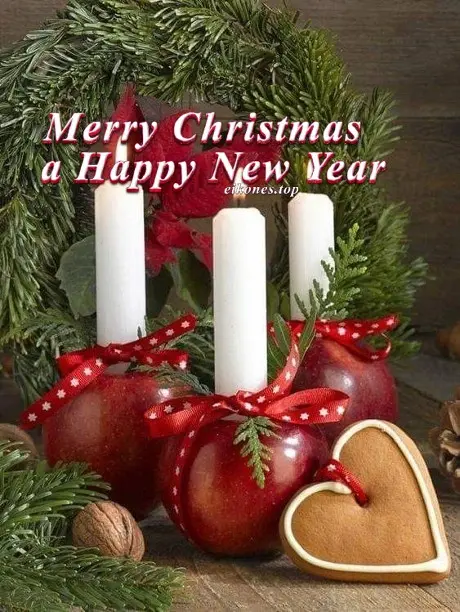 Read more about the article Merry Christmas a Happy New Year