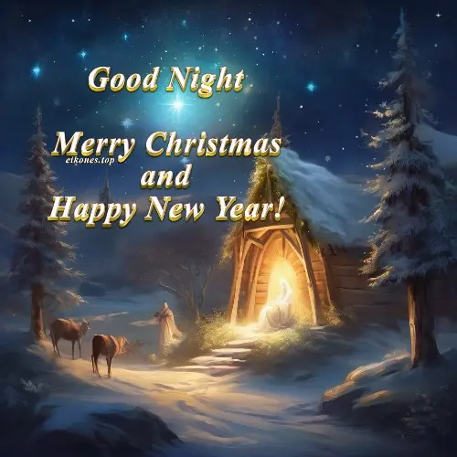 Read more about the article Good Night Merry Christmas And Happy New Year !!